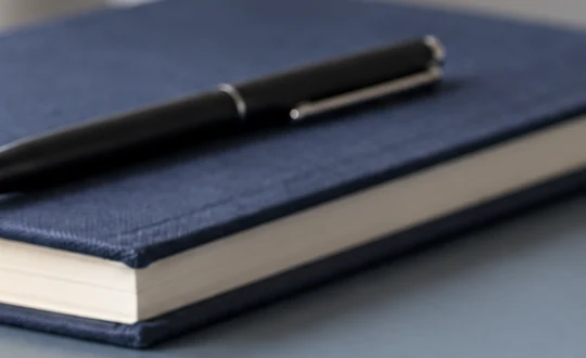 Same notebook region from the terracotta version for comparison of unchanged areas